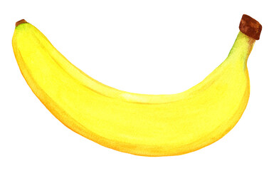 Big banana isolated on white background. Watercolor tropical fruit in side view. Sweet yellow banana in the peel.