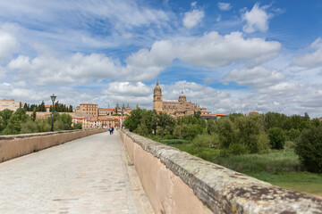 Fototapeta na wymiar Amazing view at the Salamanca downtown city, with roman bridge on tormes river, gothic building at the Cathedral and University of Salamanca , surrounding vegetation