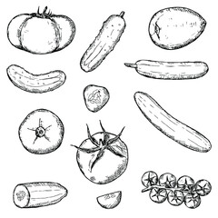 Vegetables set. Cucumbers and tomatoes. Vector illustration. Isolated on white. Hand-drawn style.