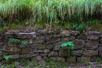 Obraz premium Background of stone wall overgrown with grass 