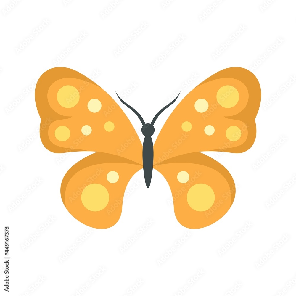 Poster Bright butterfly icon flat isolated vector