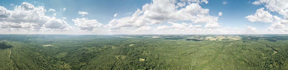 panoramic aerial view. big green forest under blue sky. summer landscape.