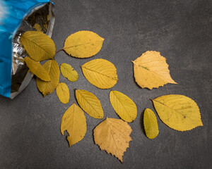 Fototapeta na wymiar Yellow autumn leaves are scattered from an open package like potato chips on a black stone table. Original idea. 
