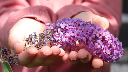 Die eines Kindes mit einer Bl&uuml;te