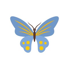 Classic butterfly icon flat isolated vector