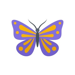 Festive butterfly icon flat isolated vector