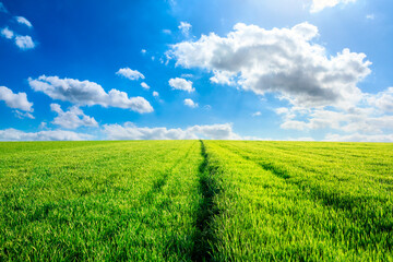 Clean grass and sky natural landscape in China