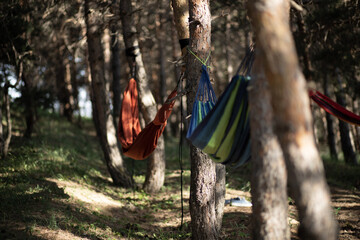 Selective focus shot of multiple hammocks tied to the trees under the shadow