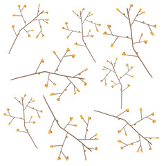 노란 동그라미 열매나무