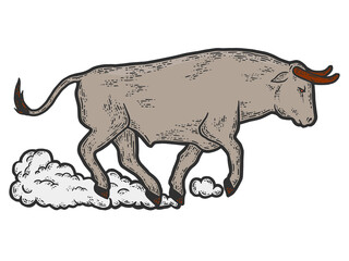 An angry bull runs with road dust. Sketch scratch board