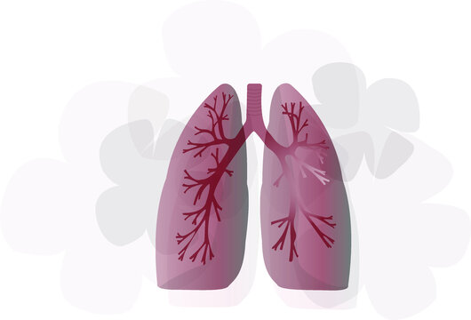 Internal organs of the human design element. Lungs flat icon.Vector