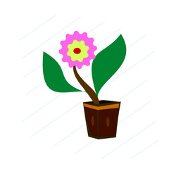 flower in a pot