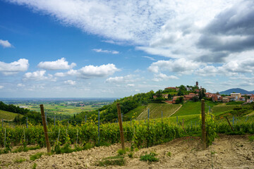 Fototapeta na wymiar Landscape on the Tortona hills at springtime. View of Monleale