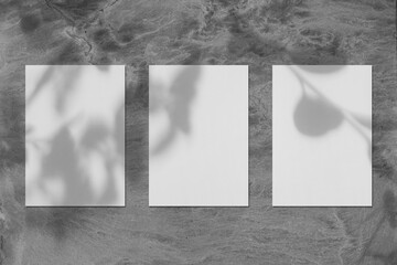 Three empty white vertical rectangle poster or card mockups with soft tree leaves and branches...