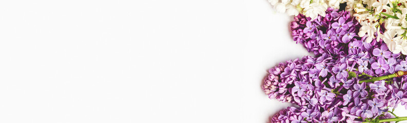 Lilac flowers isolated on white background. Top view, flat lay, copy space. Spring concept. Banner. Womens day, Mothers day