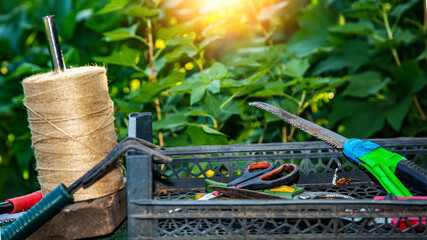 old dirty agricultural metal garden tools. Concept of gardening or planting. selective focus