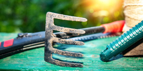 tools of the gardener. Concept of gardening or planting. selective focus