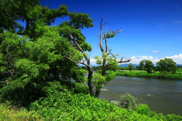 岩手県花巻市　夏のイギリス海岸