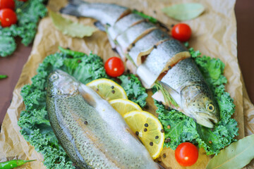 Raw fish with vegetables ready to be prepared. Kitchen ingredients. Food art. Healthy lifestyle. Restaurant menu 