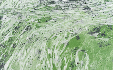 Algae bloom in a river water. Abstract pattern of a stagnant pond water full of toxic bacteria becouse of waste. Environment protection background