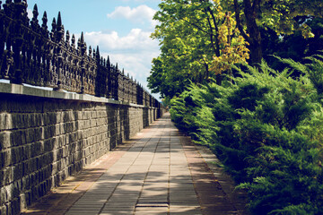 Path through autumn park with bright foliage of trees, green tuya and forged fence