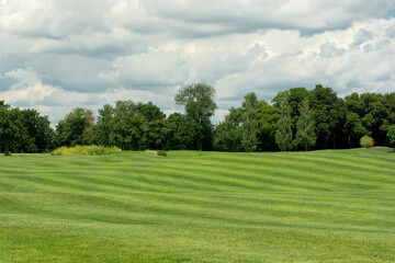 Green field with a bright blue sky above. Scenic landscapes of the park in the summertime
