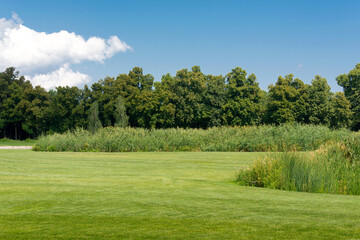 Green field with a bright blue sky above. Scenic landscapes of the park in the summertime