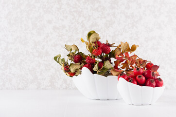 Autumn home decor with dried berries and leaves rose hip and ripe red hawthorn in bowl on soft light white wood table, copy space.