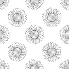 Seamless pattern sunflower graphics black and white colors vector illustration