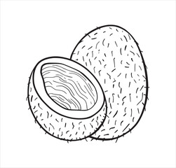 Coconut exotic tropic fruit hand drawn sketch style isolated on white background for coloring book, menu design, t-shirt. Hand drawn tropical food illustration. Vector illustration.