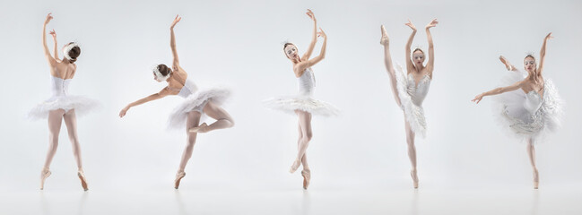 Development of movements of one beautiful ballerina dancing isolated on white background. Concept...