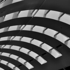 A curved ceiling of a huge building. An abstract black and white photo of an interior building.