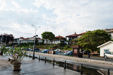 Tree flower on pot at coast of Nesebar, Bulgaria.