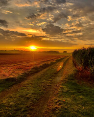 Sonnenaufgang auf dem Land - Landleben, Felder, Acker, Wald