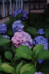 Processed with VSCO with kp8 preset