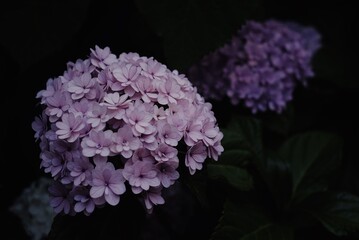 Processed with VSCO with kp8 preset