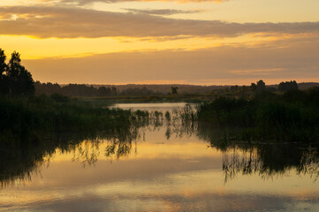Obraz premium Beautiful calm golden landscape at the sunset of the lake