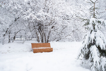 Snowy Landscape With Bench In Winter Park.