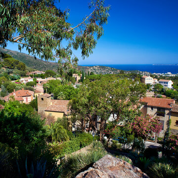 bormes les mimosas mediterranean  france city 