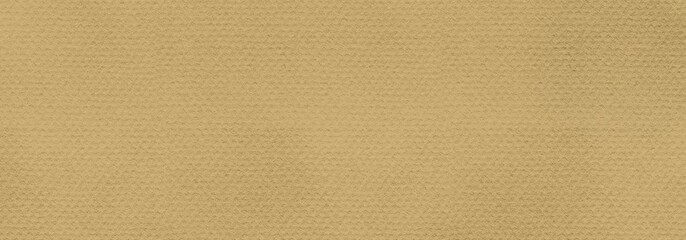 Light Brown Colored Paper Texture Background. Procreate Digital Art