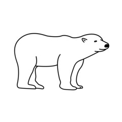 Polar Bear