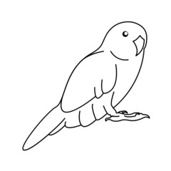 Parrot