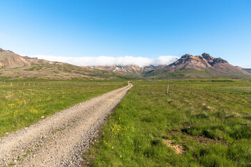 Fototapeta na wymiar Deserted rough road through a meadow leading to the mountains in Iceland on a clear summer day