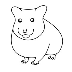 Hamster
