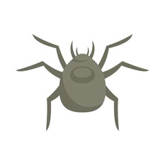 Spider forest bug icon flat isolated vector