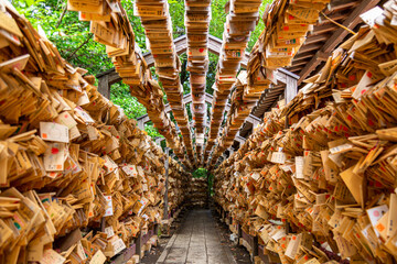 川越氷川神社の絵馬