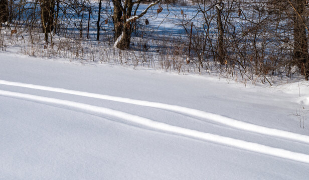 Tire track lines are eye catching in the snow in Missouri. A brush backdrop gives this photograph some character.