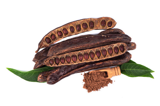 Kerob seeds isolated on white background. Vegerarian cocoa