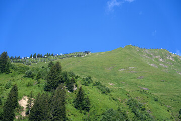 Fototapeta na wymiar Panoramic view of trees and rocks at mountain Brienzer Rothorn at Bernese Highland on a beautiful sunny summer day. Photo taken July 21st, Flühli, Switzerland.