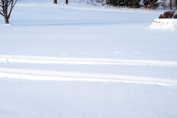 A thick snow covered the lawn in Missouri this winter day. Tire tracks makes some interesting lines in the white stuff.